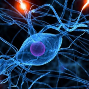 patologie neurodegenerative: immagine di sinapsi